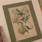 Antique Showy Lily with Double Matting in Gold Frame (1896)