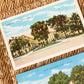 Buena Vista Hotel, Biloxi ~ Mississippi Gulf Coast Postcard Set (1930)