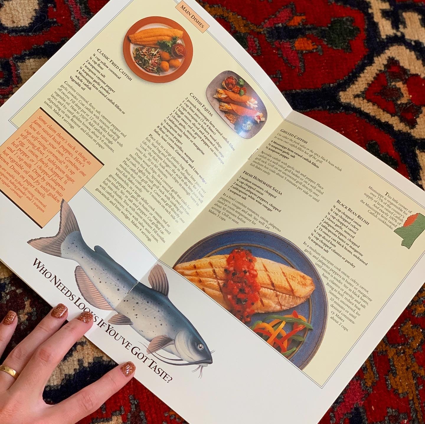 Catfish Recipe Book by the Catfish Institute of Mississippi (1993)
