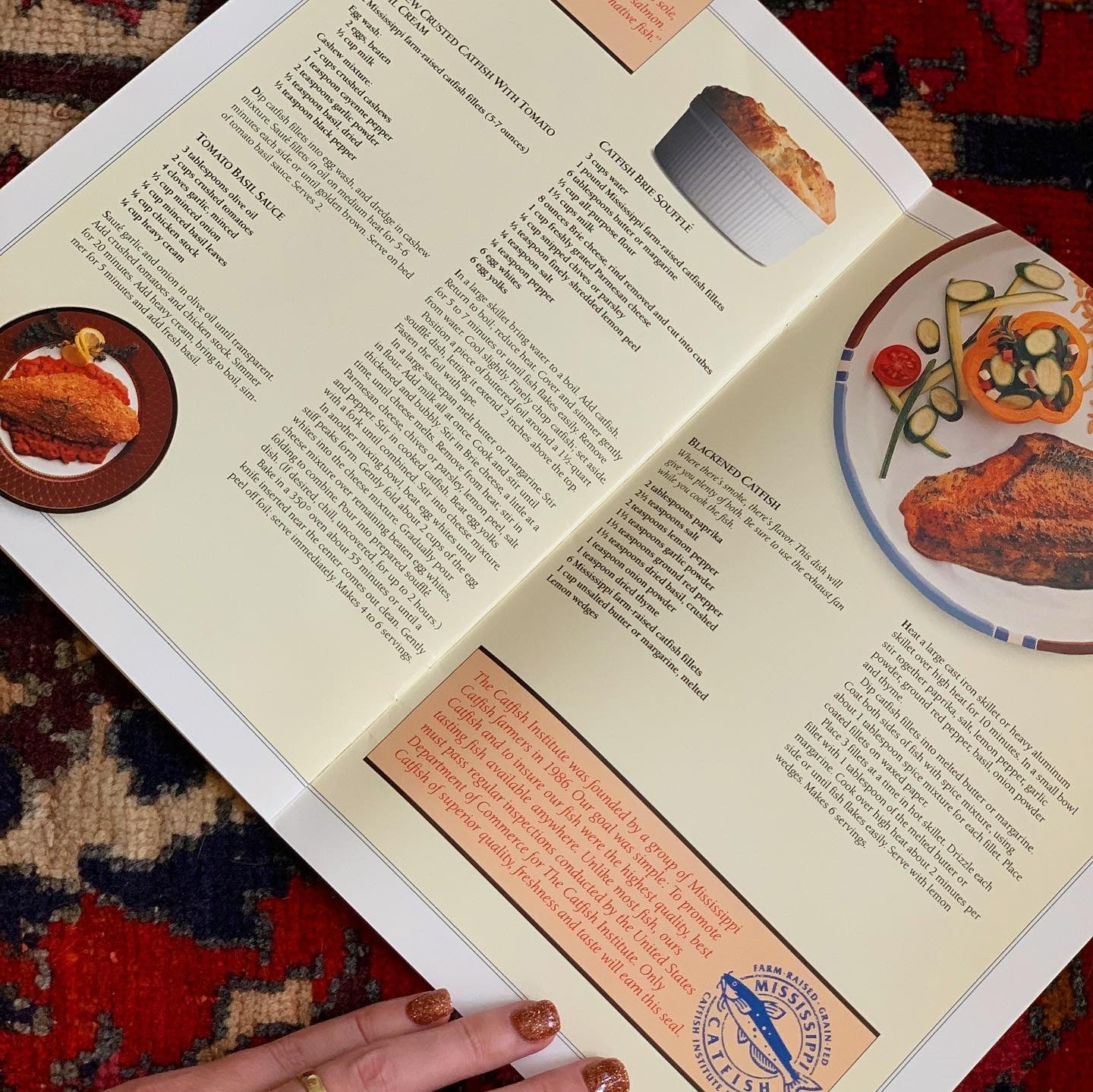 Catfish Recipe Book by the Catfish Institute of Mississippi (1993)