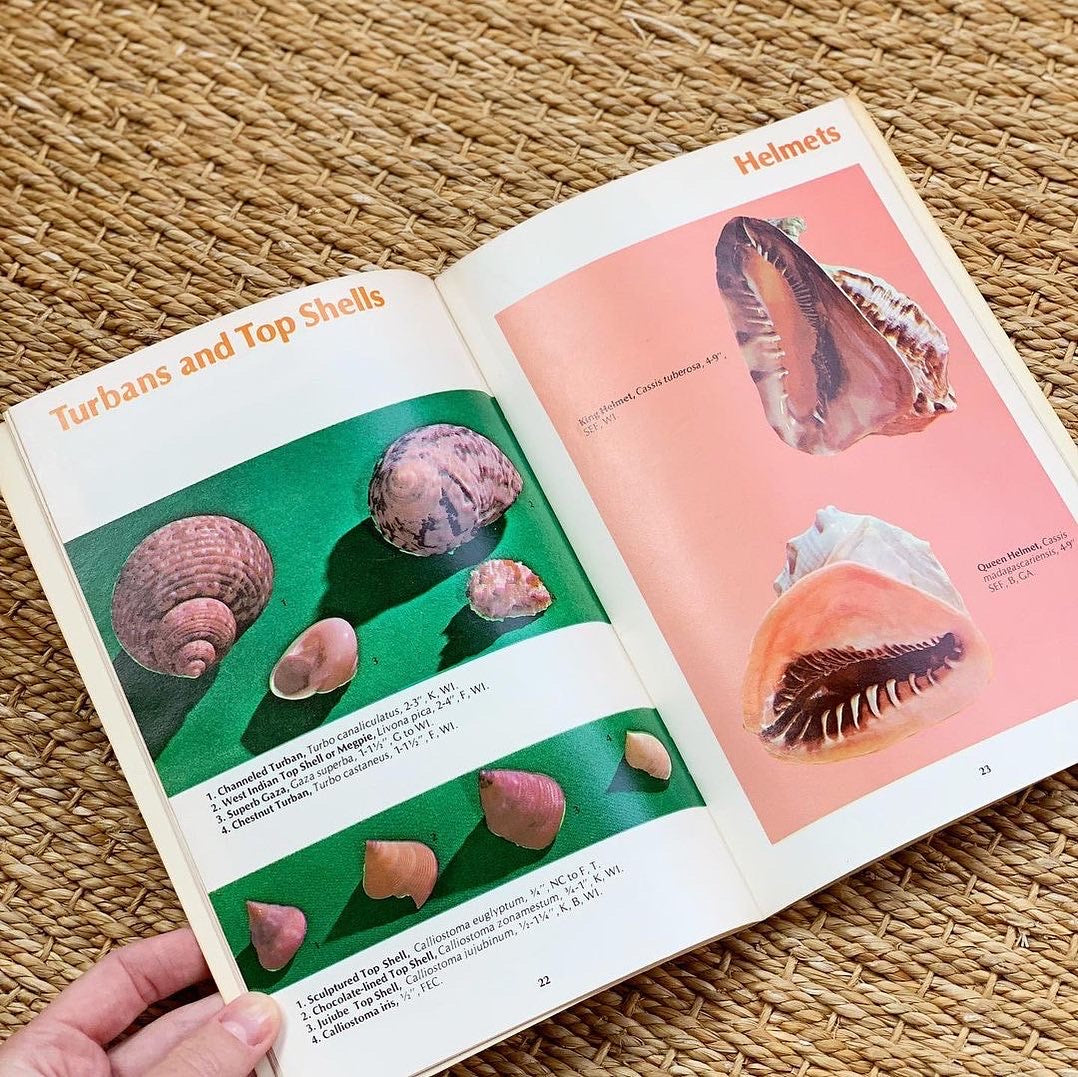 1970s Shell Identification Guide