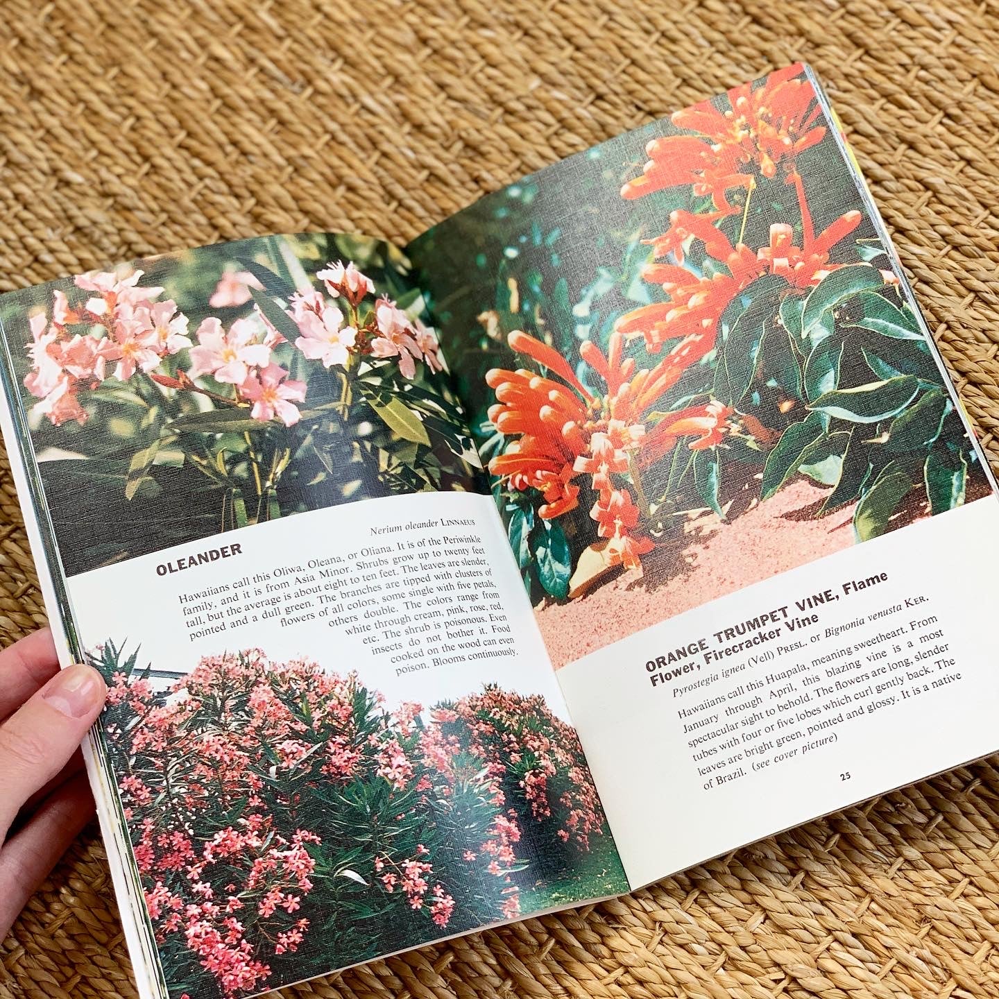 Hawaii Blossoms Book (1958)