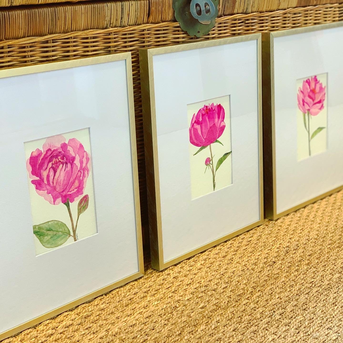 Trio of Pink Peony Watercolors by Catherine White