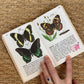 1950s Golden Nature Guide to Insects