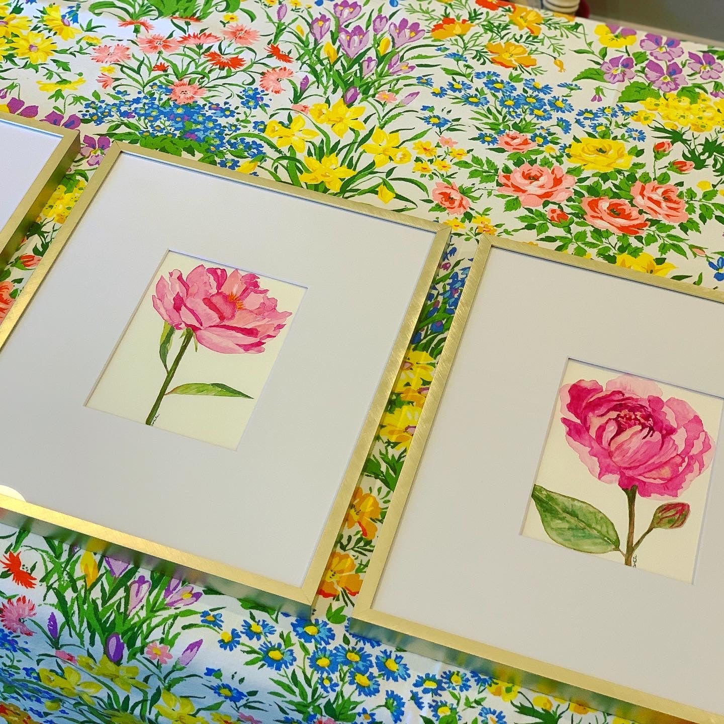 Trio of Pink Peony Watercolors by Catherine White