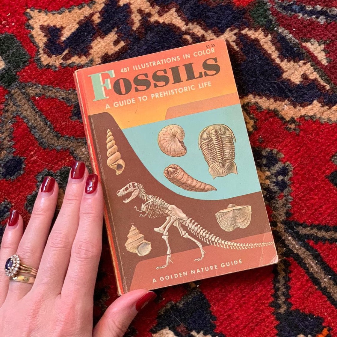 Fossils Golden Guide (1962)