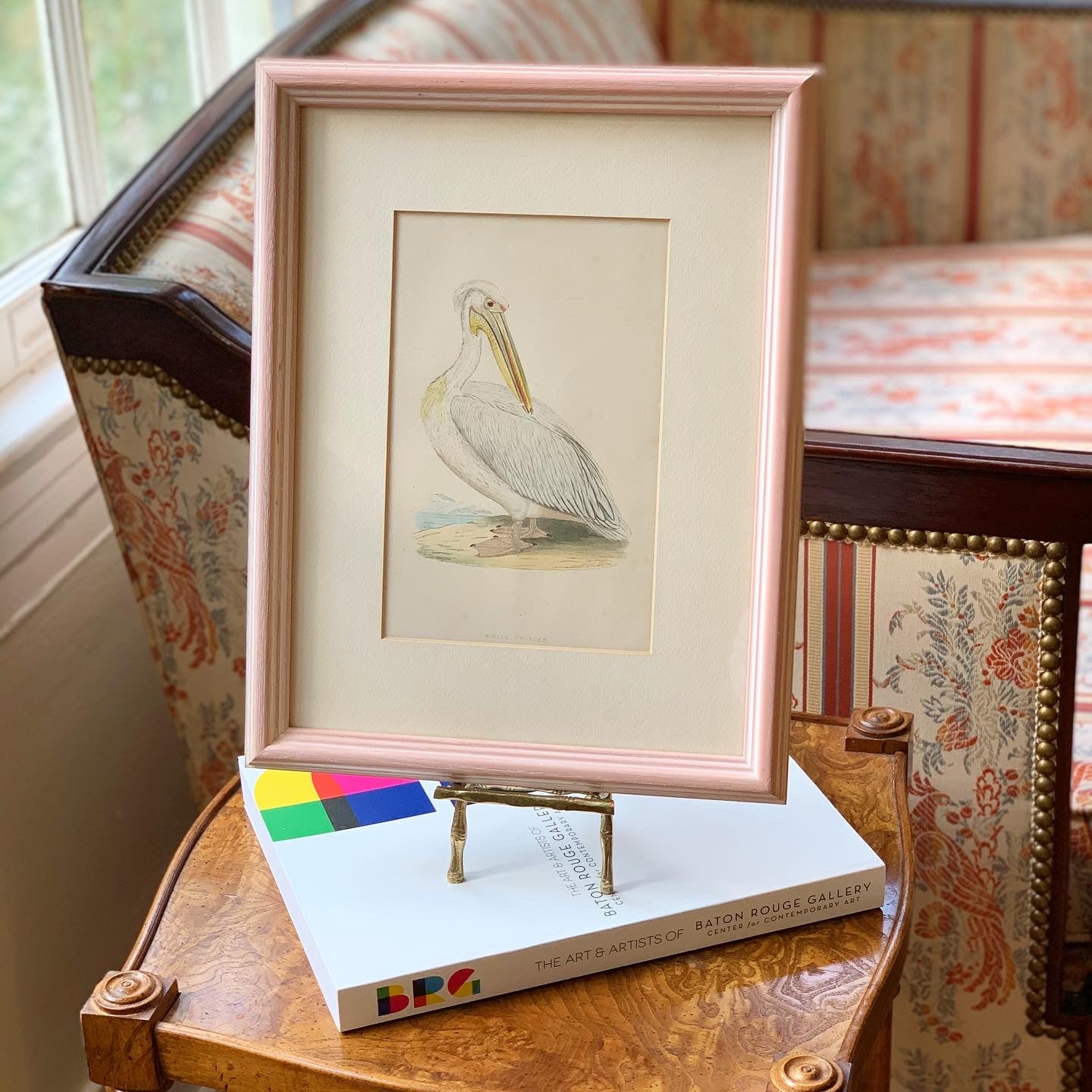 Audubon-Style Framed Pelican