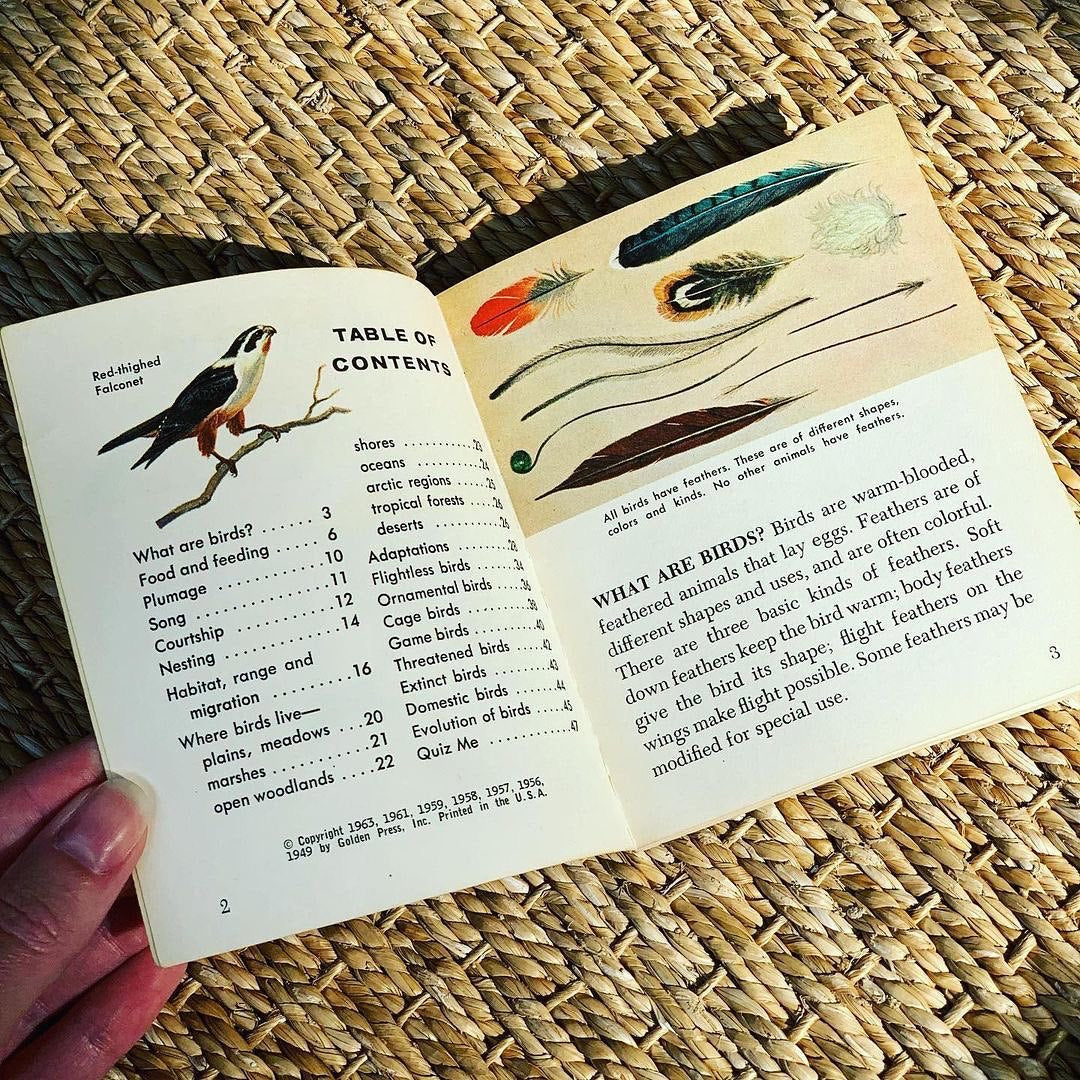 Guide to Birds (1960)