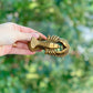 Brass Lobster Combo Bottle Opener, Paperweight & Paperclip