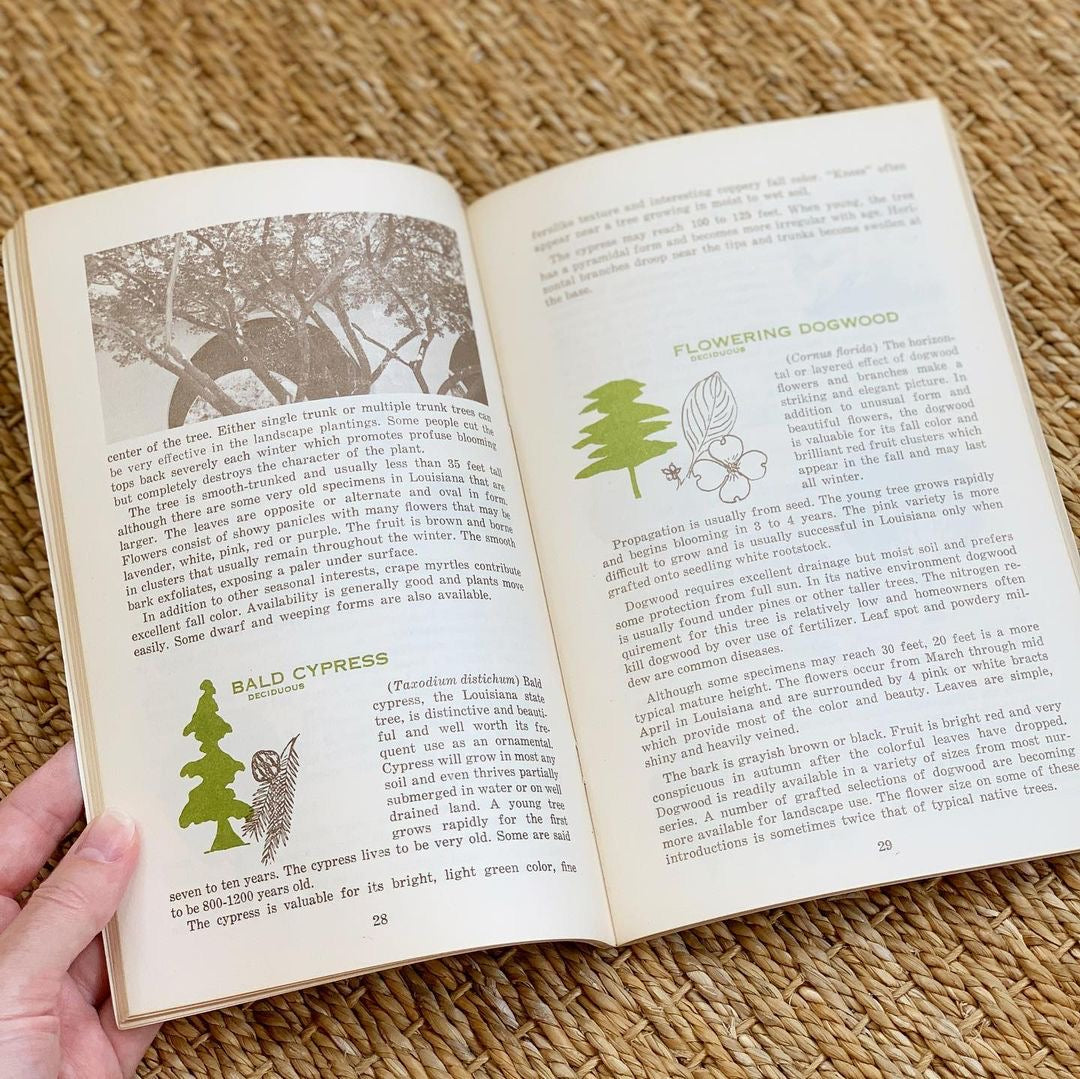 1970s Trees for Louisiana Landscapes Handbook