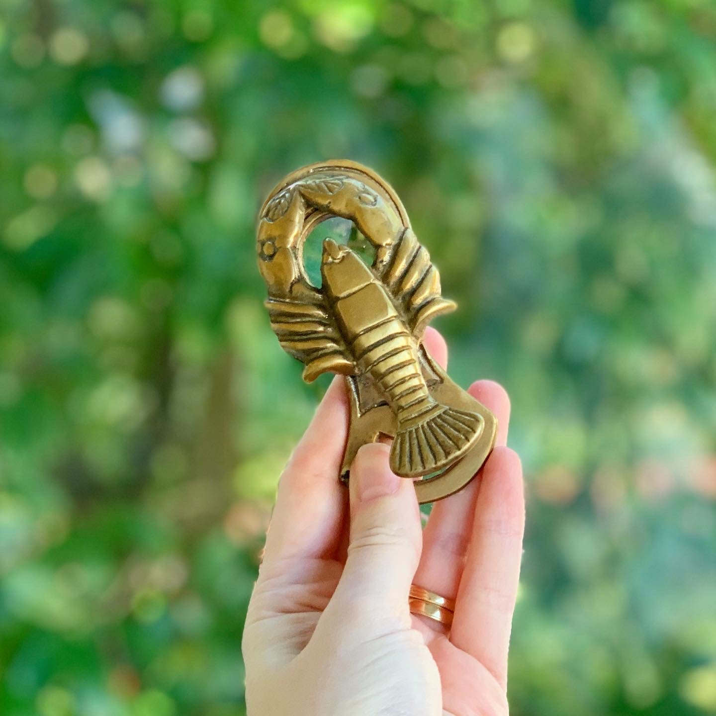 Brass Lobster Combo Bottle Opener, Paperweight & Paperclip
