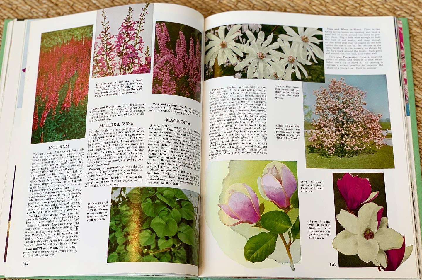 "The Complete Guide to Garden Flowers" (1961)