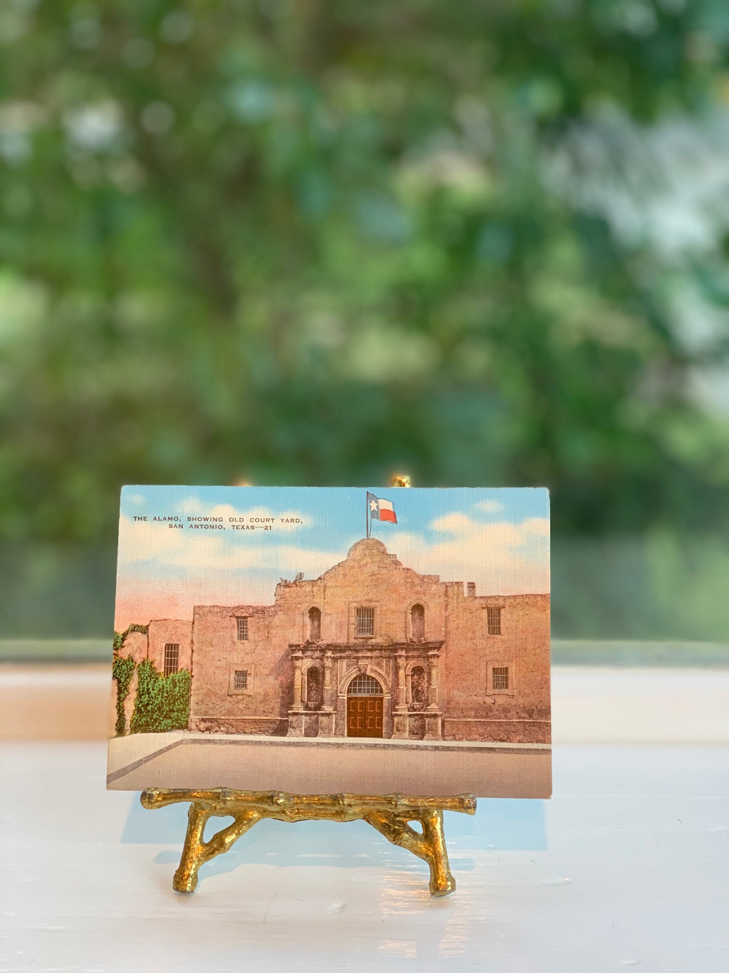 The Alamo Old Courtyard, San Antonio Postcard